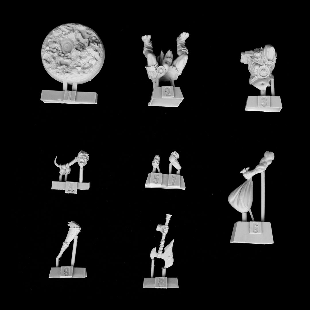 Skoll Bonestorm - Orc Ettin Mystic