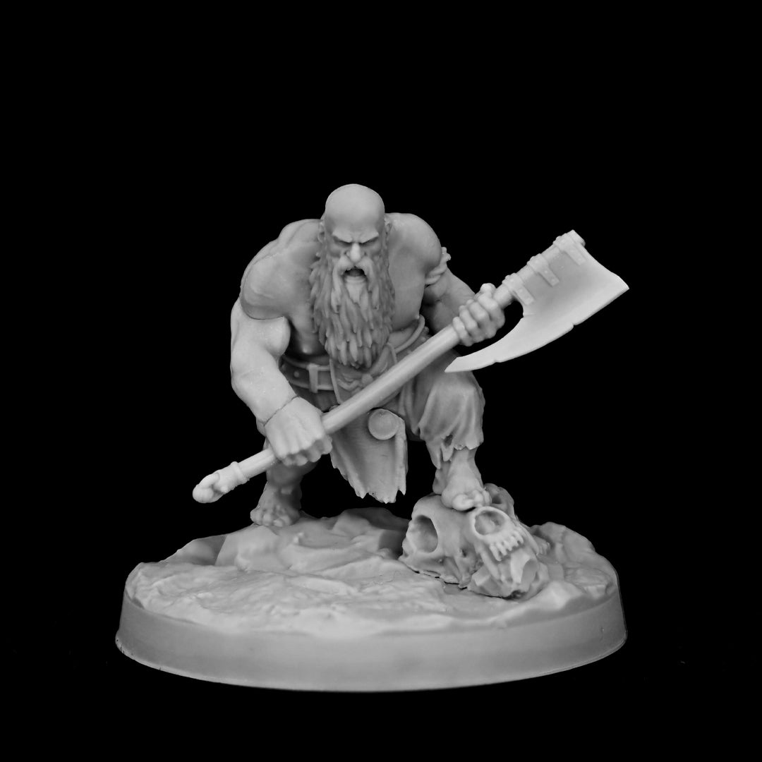 Brok - Dwarf Berserker